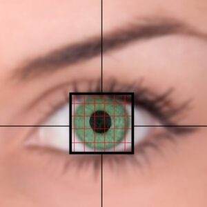 US Military Plans to Bring Biometric Passwords to the Public | Quikteks, LLC