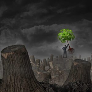 4 Scenarios Where Backup and Disaster Recovery is Optimal | Quikteks, LLC